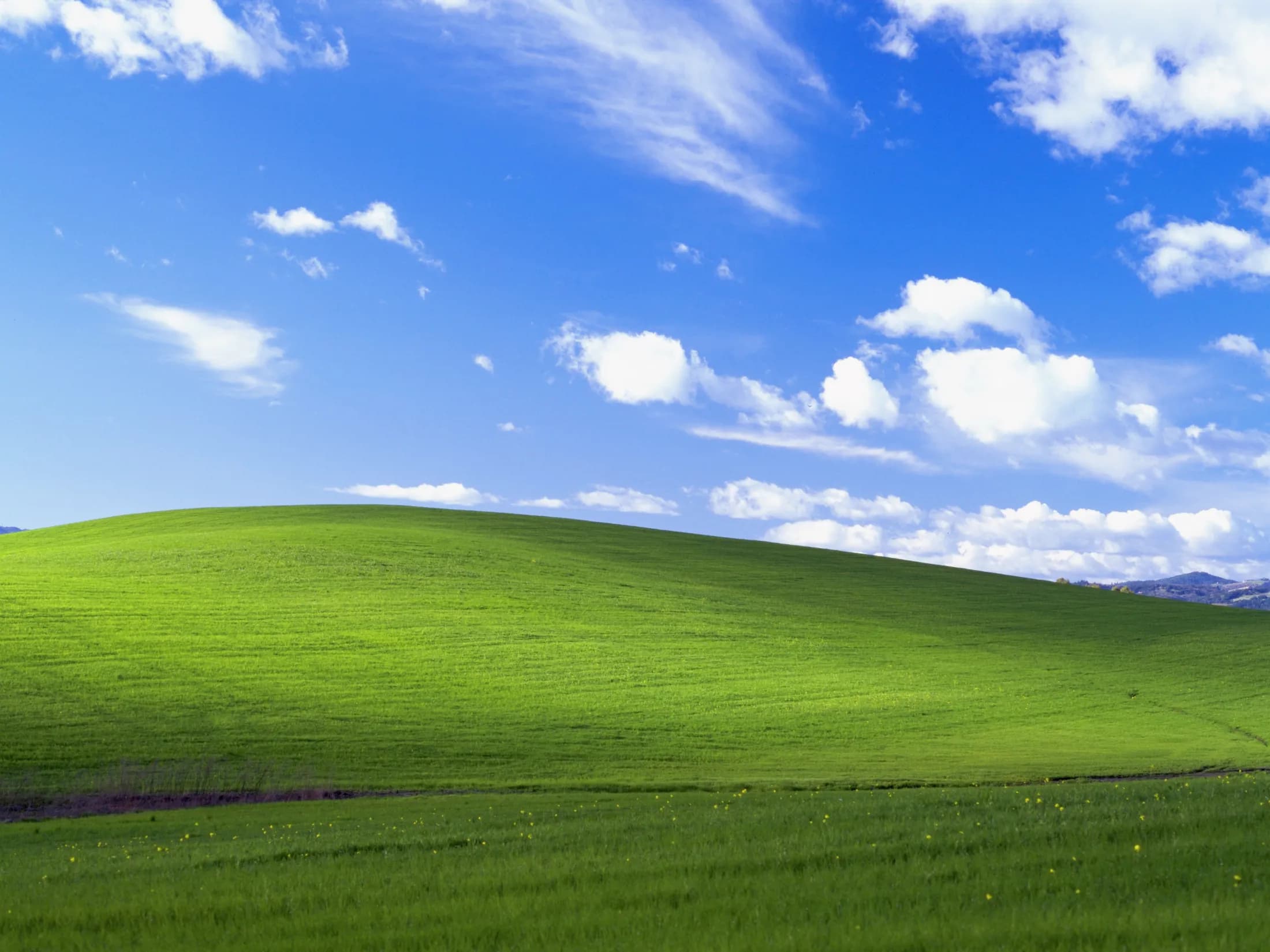 Windows XP Background